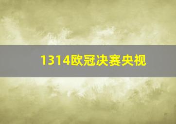 1314欧冠决赛央视