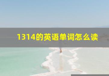 1314的英语单词怎么读