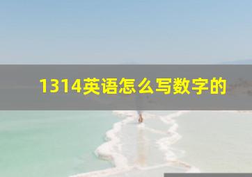 1314英语怎么写数字的