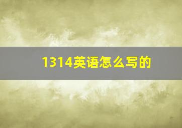 1314英语怎么写的