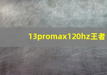 13promax120hz王者