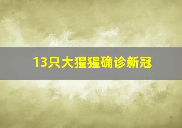 13只大猩猩确诊新冠