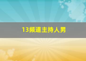 13频道主持人男