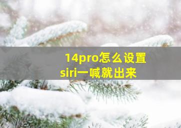 14pro怎么设置siri一喊就出来