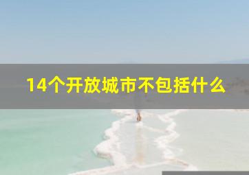 14个开放城市不包括什么