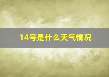 14号是什么天气情况