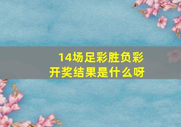 14场足彩胜负彩开奖结果是什么呀