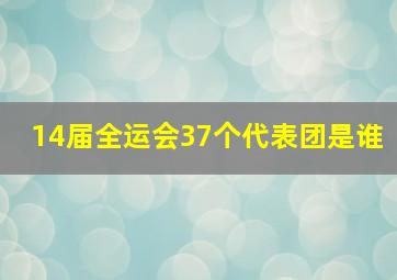 14届全运会37个代表团是谁