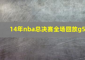 14年nba总决赛全场回放g5