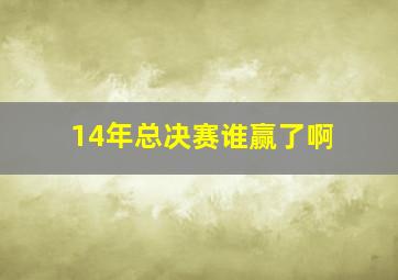 14年总决赛谁赢了啊