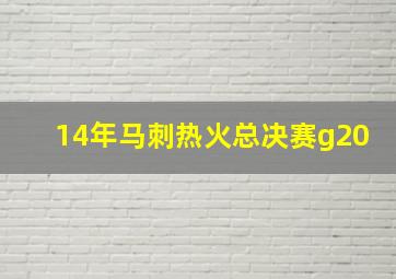 14年马刺热火总决赛g20