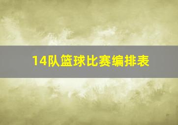 14队篮球比赛编排表