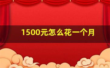 1500元怎么花一个月