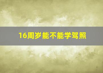 16周岁能不能学驾照