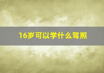 16岁可以学什么驾照