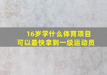 16岁学什么体育项目可以最快拿到一级运动员