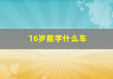 16岁能学什么车