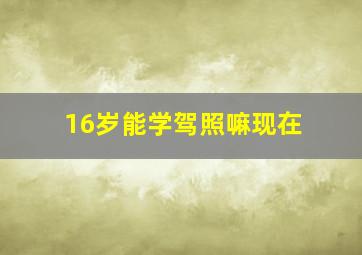 16岁能学驾照嘛现在