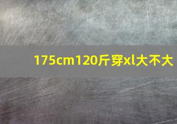 175cm120斤穿xl大不大