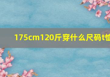 175cm120斤穿什么尺码t恤