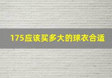 175应该买多大的球衣合适