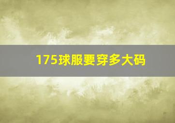 175球服要穿多大码