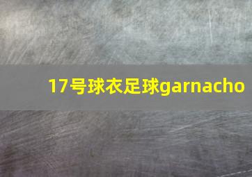 17号球衣足球garnacho