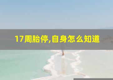 17周胎停,自身怎么知道