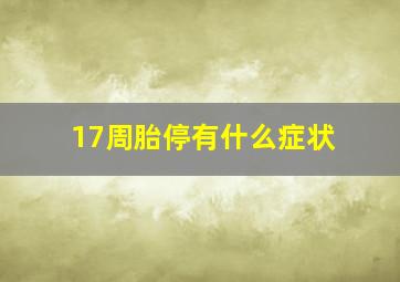 17周胎停有什么症状