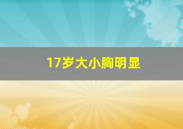 17岁大小胸明显