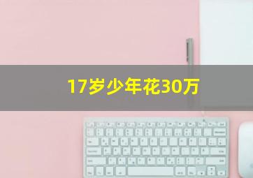 17岁少年花30万