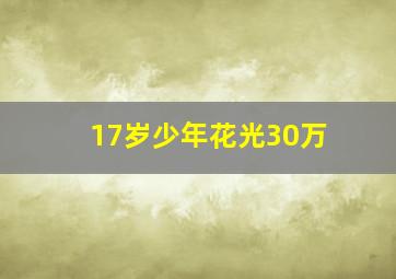 17岁少年花光30万