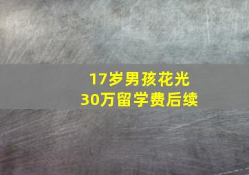 17岁男孩花光30万留学费后续