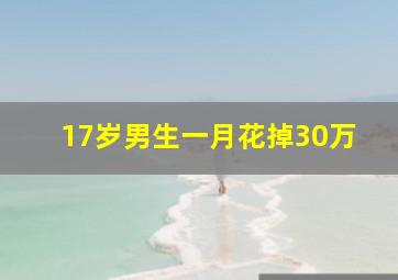 17岁男生一月花掉30万