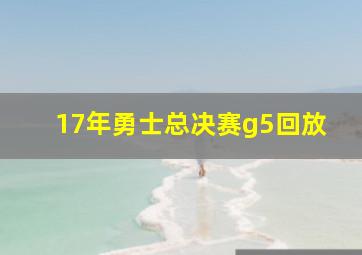 17年勇士总决赛g5回放