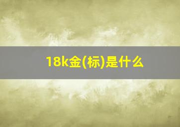 18k金(标)是什么