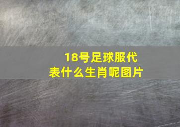 18号足球服代表什么生肖呢图片