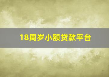 18周岁小额贷款平台