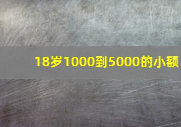 18岁1000到5000的小额