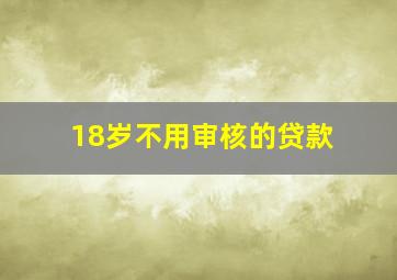 18岁不用审核的贷款