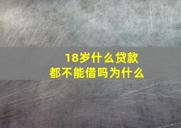 18岁什么贷款都不能借吗为什么