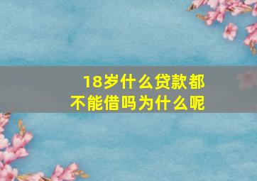 18岁什么贷款都不能借吗为什么呢