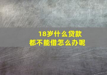 18岁什么贷款都不能借怎么办呢