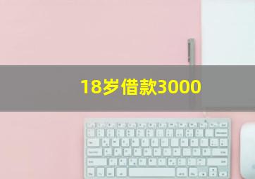 18岁借款3000