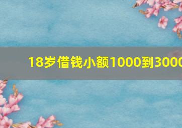 18岁借钱小额1000到3000