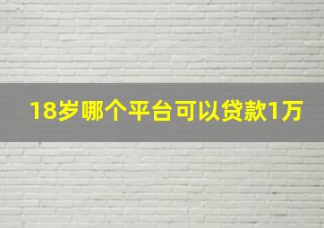 18岁哪个平台可以贷款1万