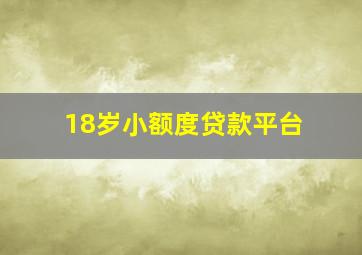 18岁小额度贷款平台