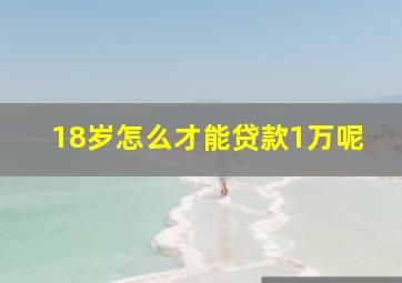 18岁怎么才能贷款1万呢