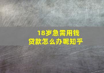 18岁急需用钱贷款怎么办呢知乎