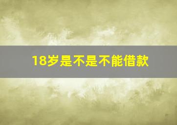 18岁是不是不能借款